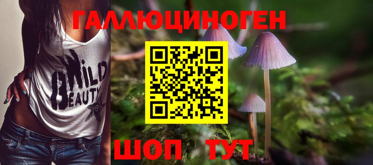 как найти   Вход с VPN  Кропоткин  Псилоцибиновые грибы мухоморы 